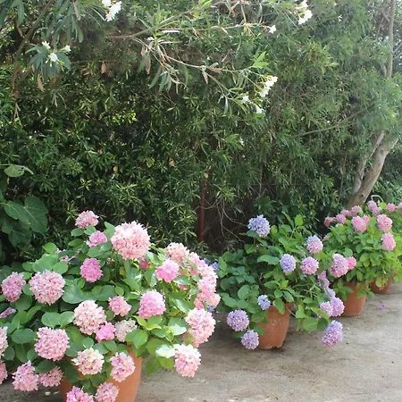 Blue Sea Appartamento Mali Lošinj